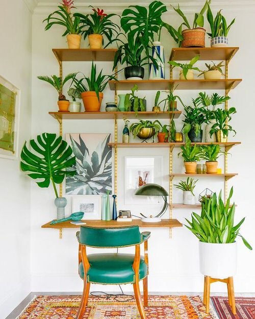 Green Home Office Desk Ideas with Plants 10