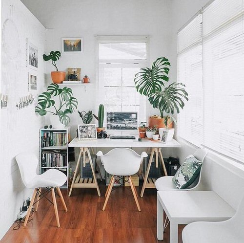 Green Home Office Desk Ideas with Plants 21