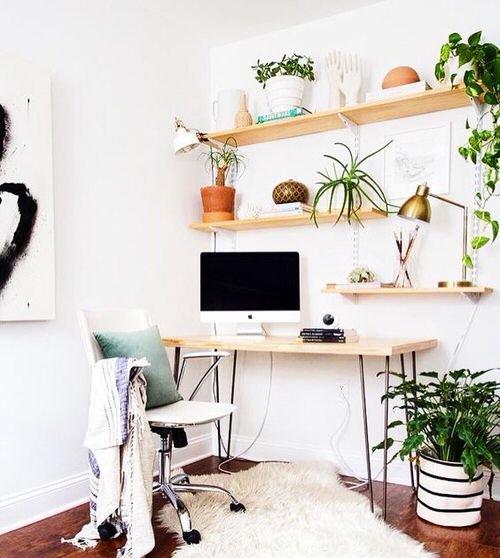 Green Home Office Desk Ideas with Plants