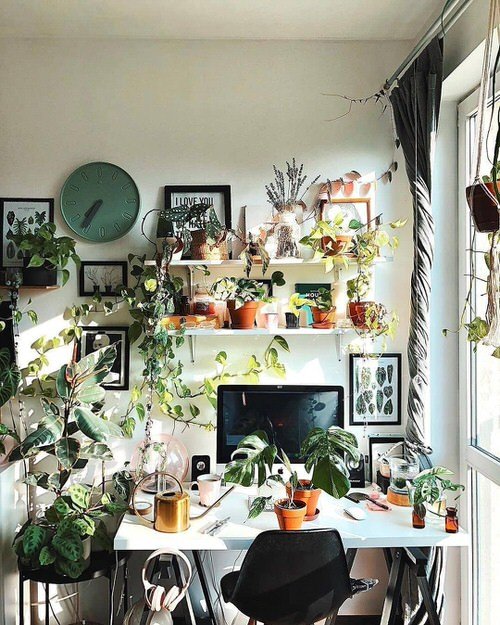 Green Home Office Desk Ideas with Plants 6
