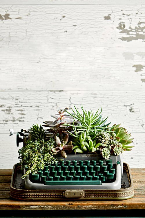 Household Succulent Containers Ideas 32