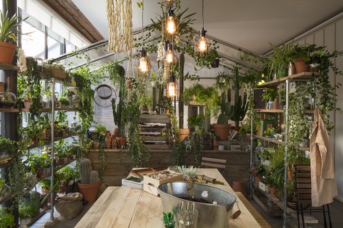 Turn Your House into Mini Forest with these Ideas 9