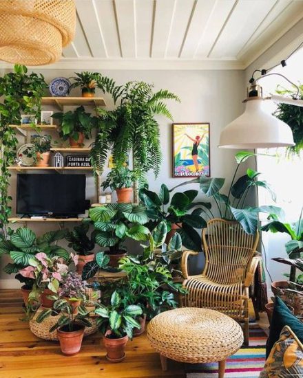 Turn Your House Into Mini Forest With These Ideas