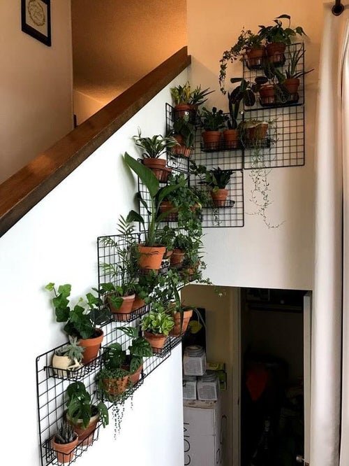 Indoor Plant Wall Decor Ideas 8
