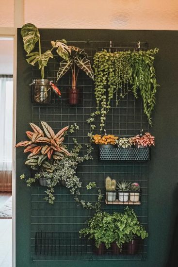 23 Creative & Modern Indoor Plant Wall Decor Ideas