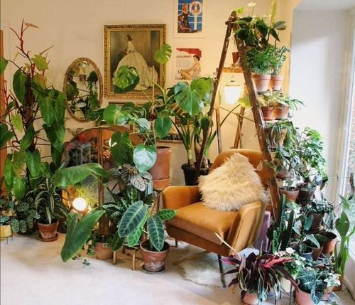 Turn Your House into Mini Forest with these Ideas 5