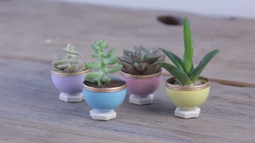 Household Succulent Containers Ideas 22