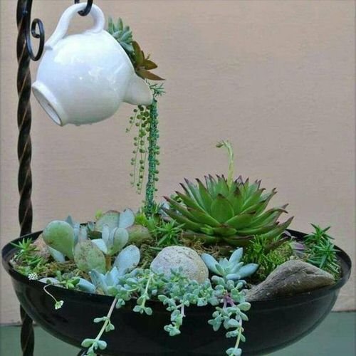 Household Succulent Containers Ideas 27