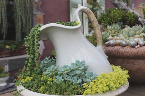 Household Succulent Containers Ideas 25