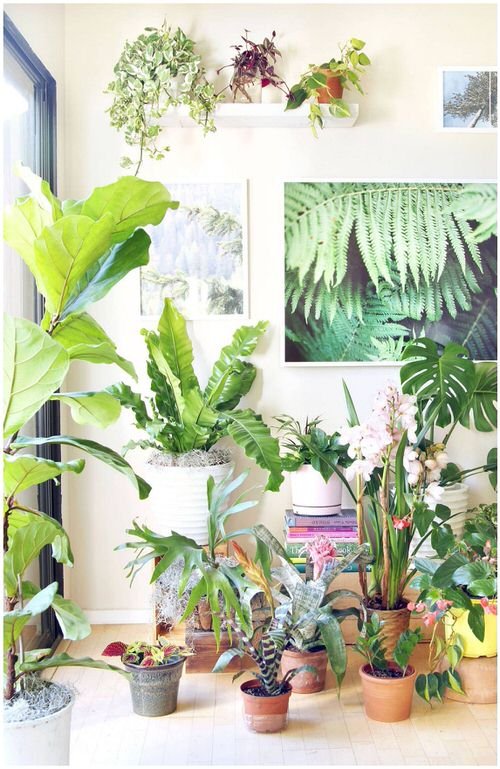 Turn Your House into Mini Forest with these Ideas