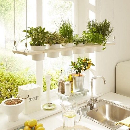 Hanging Wooden Shelf on top of a Kitchen Sink to Grow Herbs