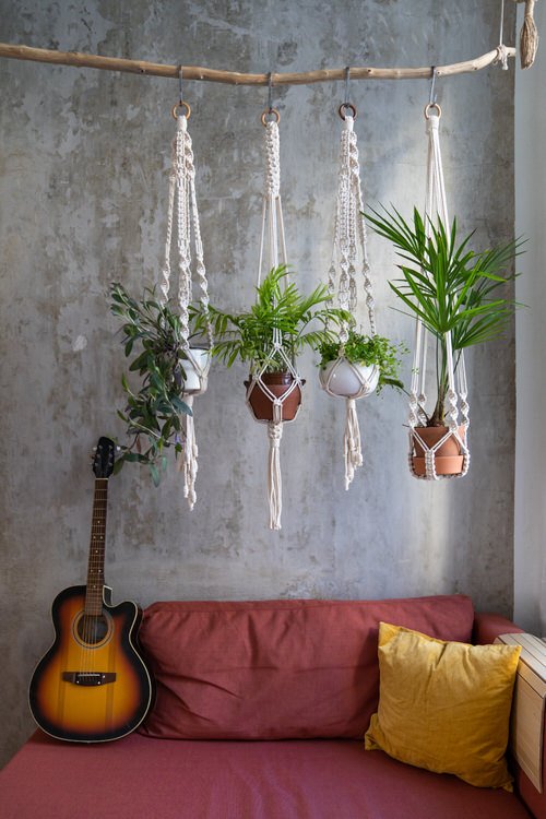 Plant Stylists' Secrets to Design Your Home with Plants 8