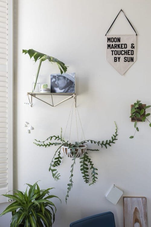  Mini Shelf, Hanging Basket, and a Banner