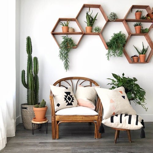 Hexagonal Plant Shelves