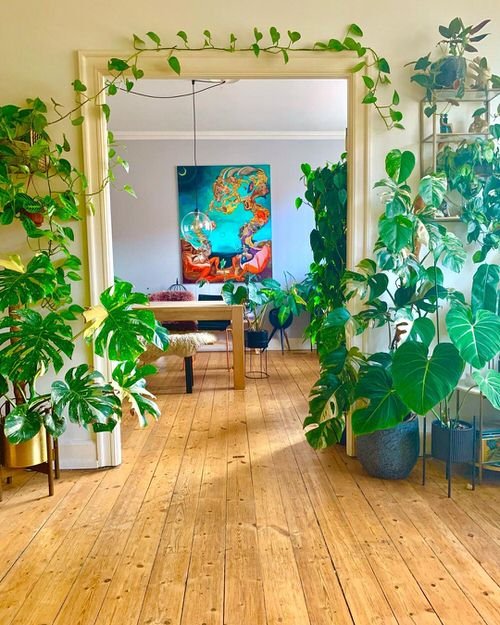 Colorful Interior Ideas with Beautiful Houseplants 23