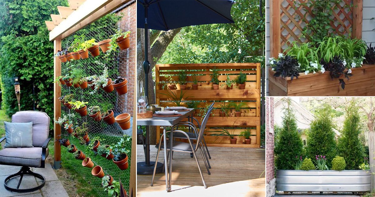 24 Diy Planter With Privacy Screen Ideas | Balcony Garden Web