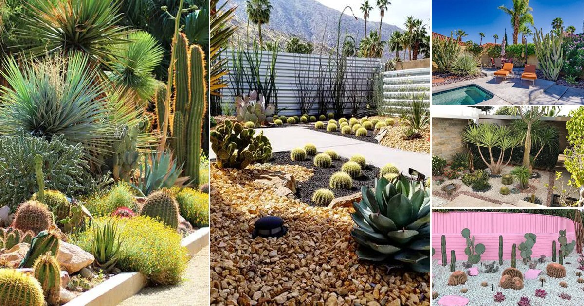 35 Inexpensive Desert Landscaping Ideas Pictures | Balcony Garden Web