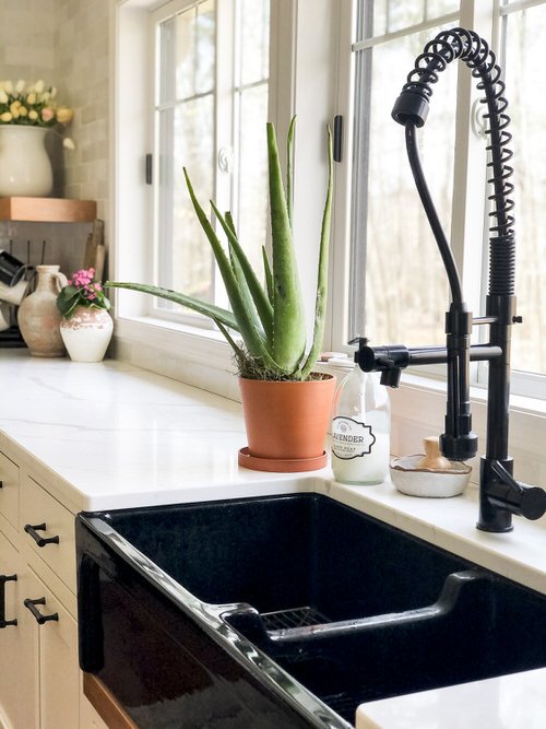 Best Indoor Plants for Every Room of Your House 10