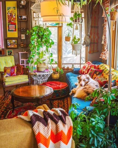 Colorful Interior Ideas with Beautiful Houseplants