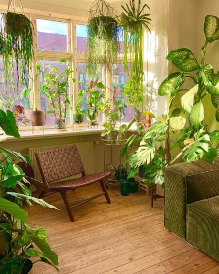 26 Colorful Interior Ideas with Beautiful Houseplants | Balcony Garden Web