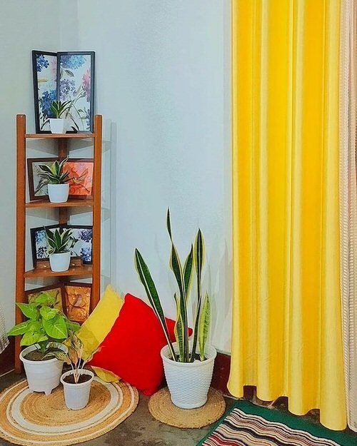 Colorful Interior Ideas with Beautiful Houseplants 16