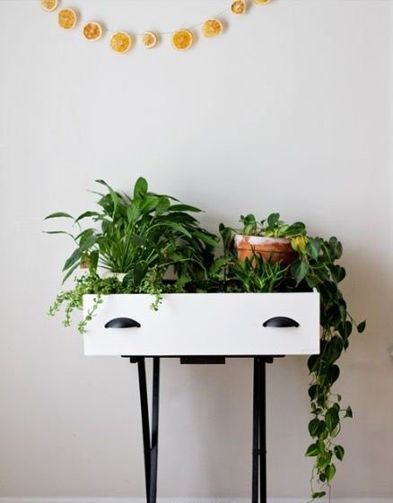 DIY Plant Shelfie Ideas 2