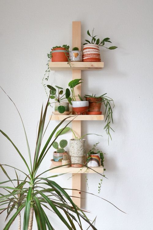 DIY Plant Shelfie Ideas 5