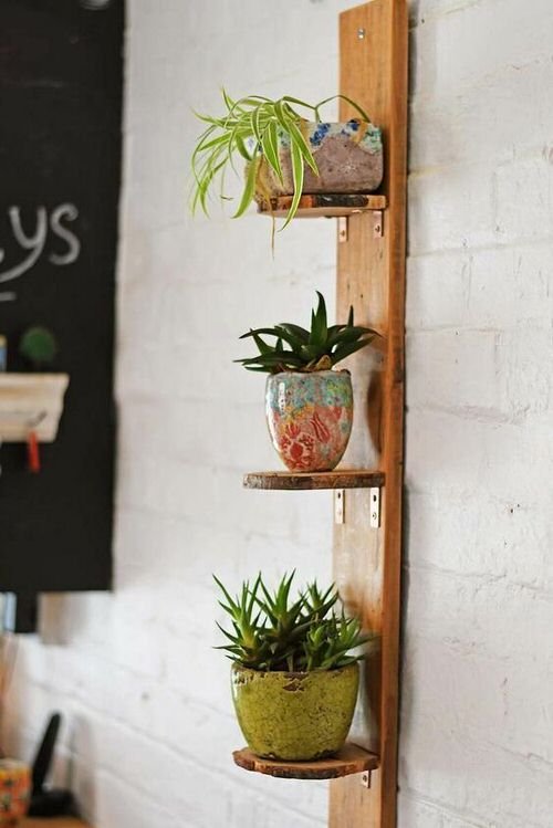 DIY Plant Shelfie Ideas 6