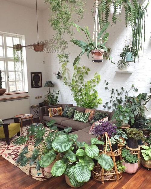 Interior Decor Ideas with Colorful Houseplants