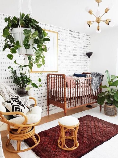 Incredible Ideas for Indoor Plant Decor