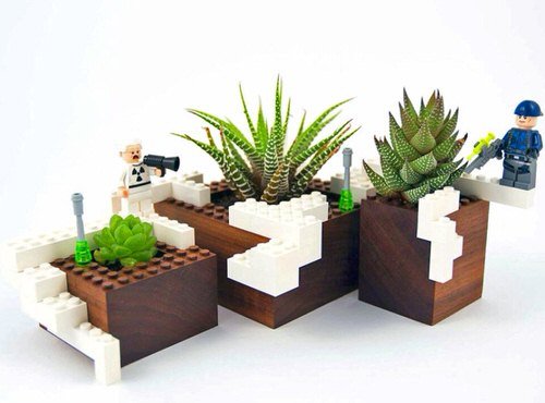 Household Succulent Containers Ideas 4