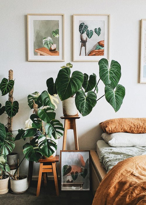 How to Decorate Every Part of Your Home with Plants 3