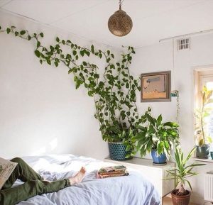 38 Stunning Pothos Wall Decor Ideas | How to Decorate with Pothos