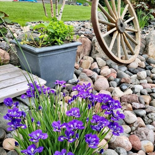 35 Best Landscaping Ideas With Rocks In The Garden