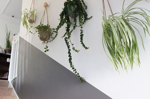 Staircase Wall Decor Ideas With Plants 4