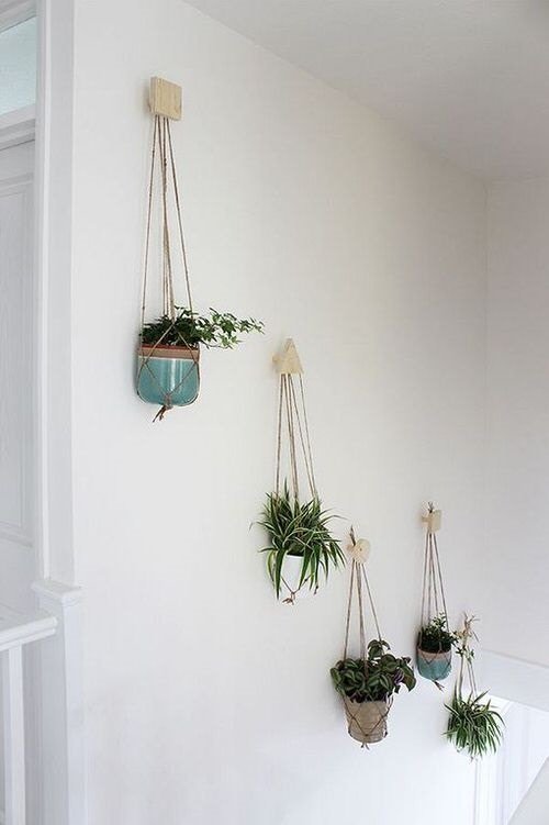 Staircase Wall Decor Ideas With Plants