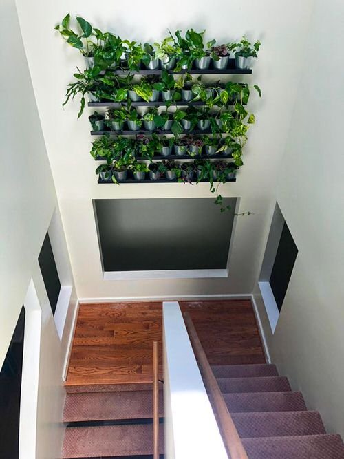Staircase Wall Decor Ideas With Plants 5