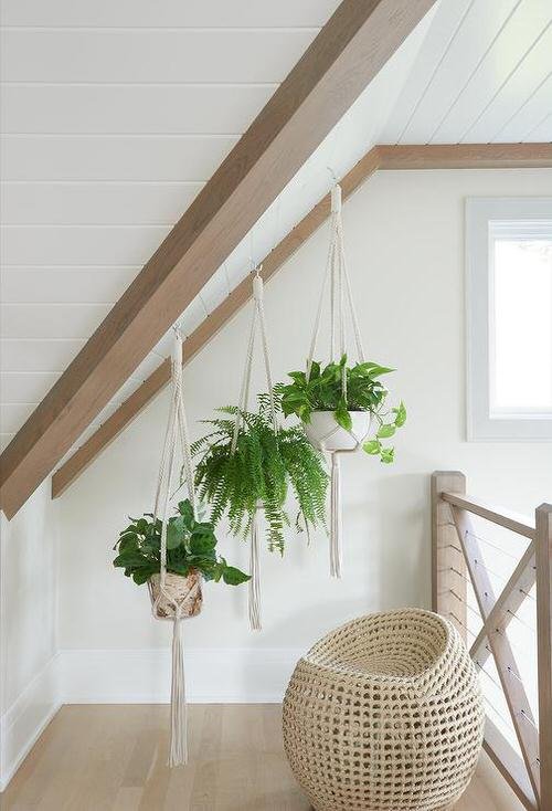 Staircase Wall Decor Ideas With Plants 26