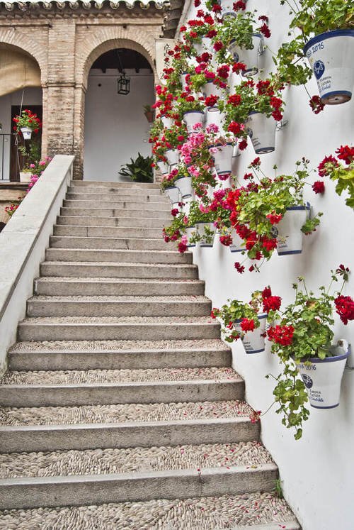 Staircase Wall Decor Ideas With Plants 14