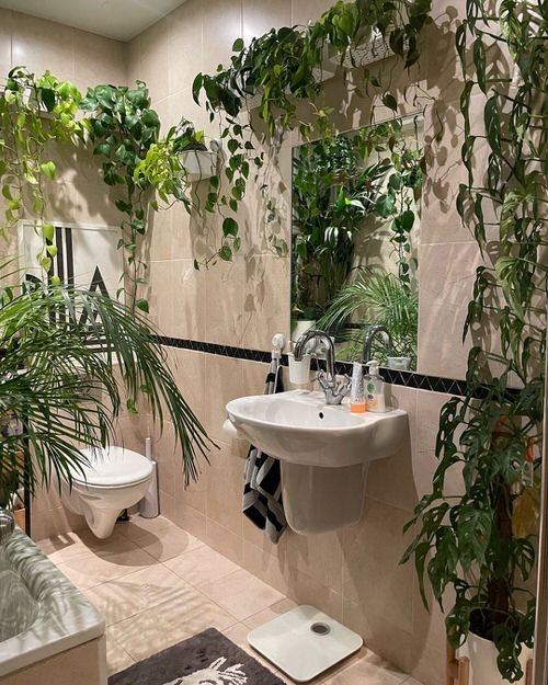 Bathrooms Turned into Incredible Indoor Gardens 8