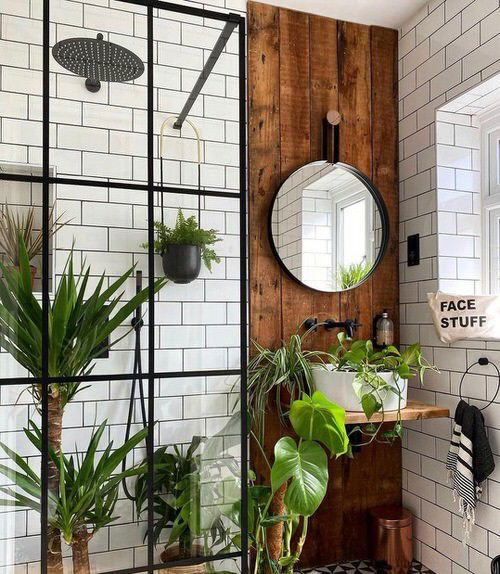  Plants in a Luxury Bathroom 9