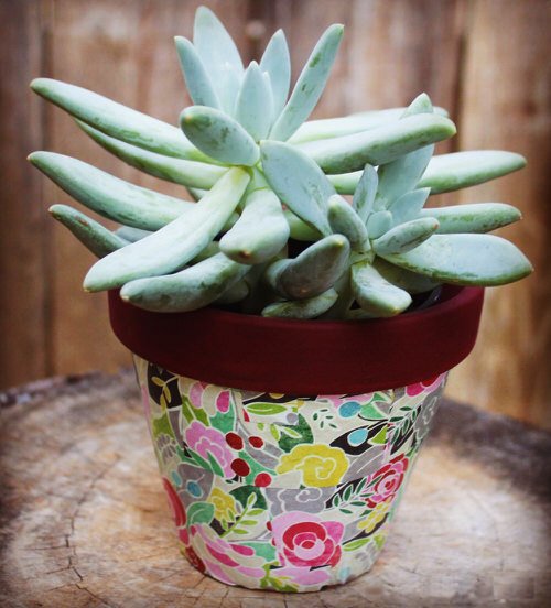 DIY Decoupage Flower Pots for Garden 3