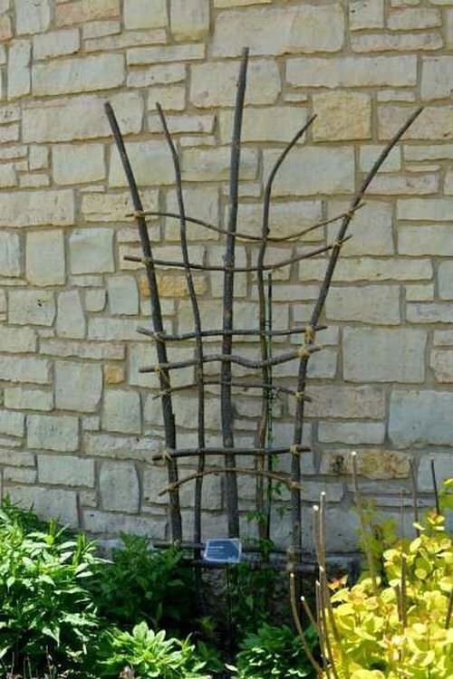DIY For Making Garden Ladder and Trellis