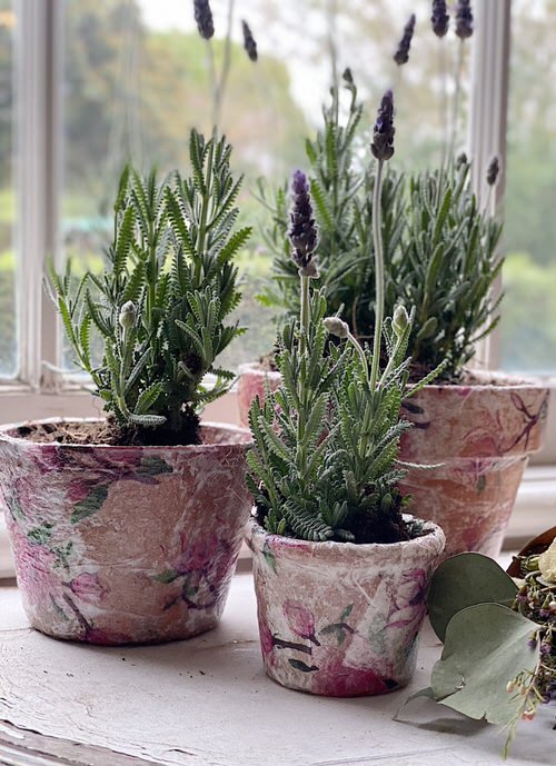DIY Decoupage Flower Pots for Garden 2