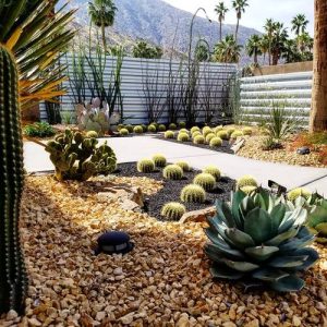 35 Inexpensive Desert Landscaping Ideas Pictures | Balcony Garden Web