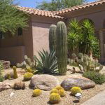Desert Landscaping Ideas Pictures 26