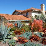 Inexpensive Desert Landscaping Ideas Pictures 23