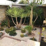Desert Landscaping Ideas Pictures 24
