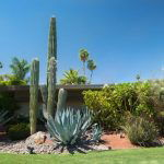Inexpensive Desert Landscaping Ideas Pictures 29
