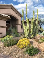 35 Inexpensive Desert Landscaping Ideas Pictures | Balcony Garden Web